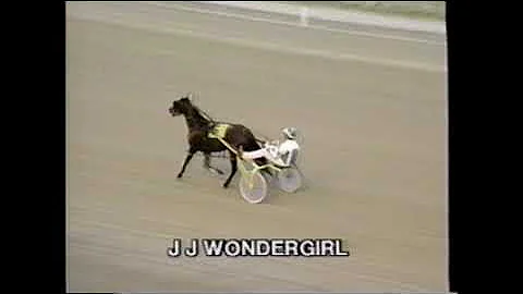 1995 Scioto Downs BONE CHILL Bruce Riegle