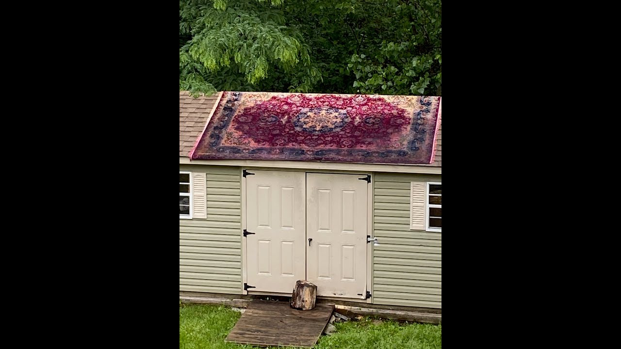 НИКОГДА НЕ ЧИСТИТЕ ВОСТОЧНЫЙ КОВЁР ДОМА