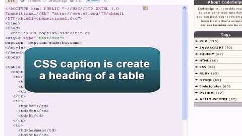 CSS Tutorial: CSS caption side