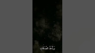 سورة التوبة الآية 104 بصوت القارئ الشيخ ياسر الدوسري