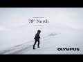 Svalbard | Arctic Foxes at 78° North | Cinematic 4K