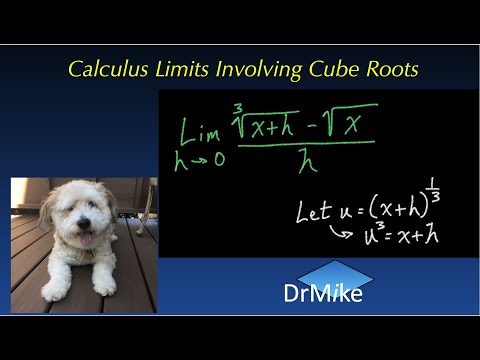 Calculus limits with