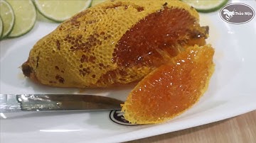 CẬN CẢNH CẮT BẦU MẬT TỔ ONG RỪNG - LOẠI ONG RUỒI TỰ NHIÊN