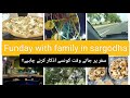 Full of fun family enjoyment vlog  zikar before journey  ghar me barkat kese aegi  umme usairim