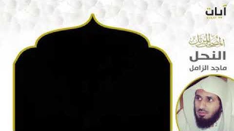 المصحف المرتل - ماجد زامل - سورة النحل