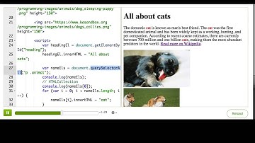 Finding elements by CSS selector | Computer Programming | Khan Academy