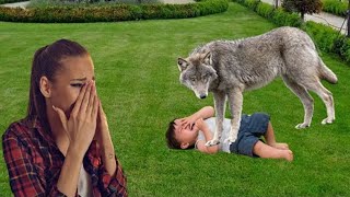 The woman cried when she saw what the wolf did to her son!