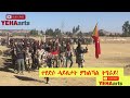 Tigray tigray defense force tehadso hura seleste