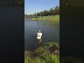 disc golf fishing 🎣 #foryou #flyingdisc #discgolf #sports #funny