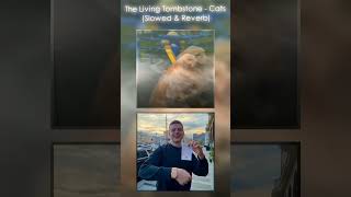 The Living Tombstone - Cats (Tiktok Slowed Vershion)  #Tiktok #Tiktokmusic #Funk #Edit #Music #Song
