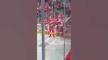 Thumbnail of Detroit Red Wings celebrate the game winning goal. 2-1 Victory