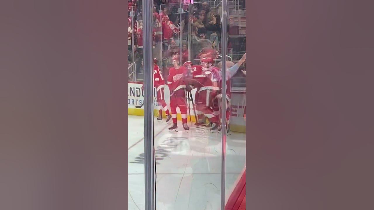 Detroit Red Wings celebrate the game winning goal. 2-1 Victory