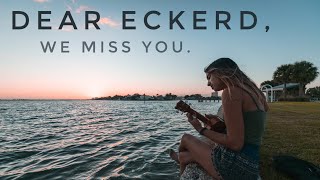 Dear Eckerd College, We Miss You.