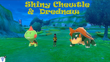 Shiny Chewtle + Drednaw RE | Pokemon Sword/Shield