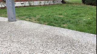 IMG 3346