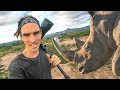 EPIC RHINO WALKING SAFARI!? - Live The Adventure Trip Day 5