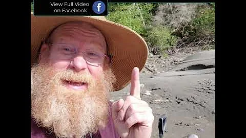 Can I find GOLD in PURE SAND?