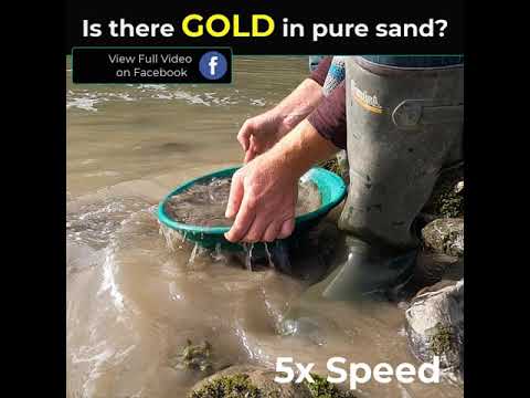 Can I find GOLD in PURE SAND?