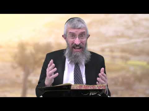 מסכת מנחות דף צב - 8 דקות של לומדות ועמקות בדרך הלימוד הישיבתית [Menachot 92]