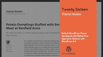 Twenty Sixteen WordPress Theme Review by PurposeThemes
