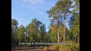 Купить участок недорого в Ленинградской области. Загородная недвижимость.(, 2015-11-18T13:07:24.000Z)