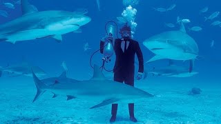 Jay Alvarrez Swimming with Sharks in 360°