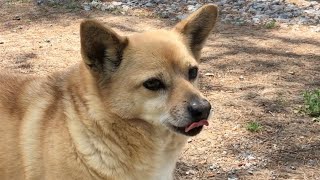 멍 사장님 펜션 안내💛포항 작은행복 펜션💛