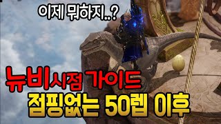 [뉴비가이드]NO점핑. 50렙 이후 해야할 것들과 템렙900찍기/로스트아크