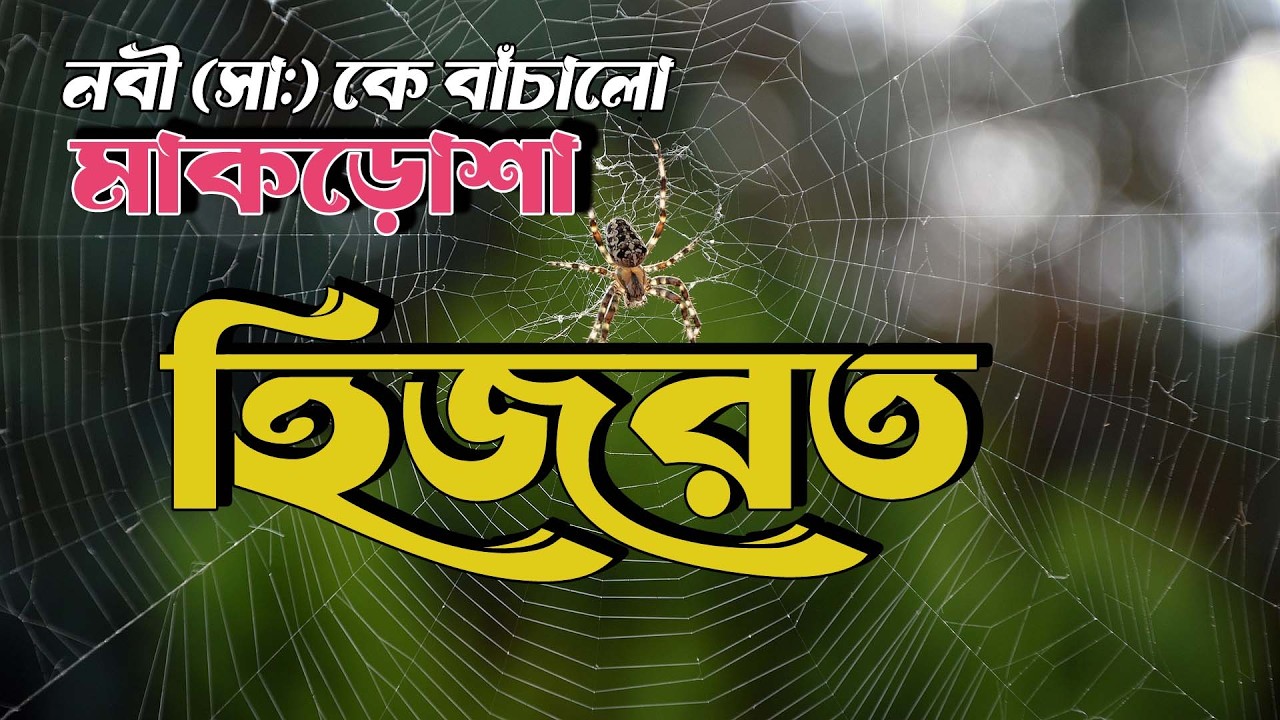 নবী করীম (সা:) এর হিজরতের কাহিনী | ছোট্ট মাকড়োশা কিভাবে প্রান বাঁচালো | #হিজরতের_কাহিনী