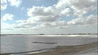TN-90-108-043 | Thames News Archive Footage