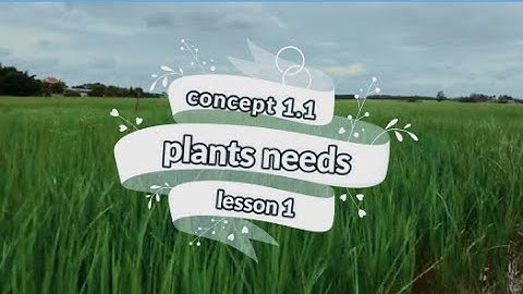concept 1.1 -  lesson 1 - plants needs - science grade 5 / first term علوم 5 ابتدائي / الدرس الاول