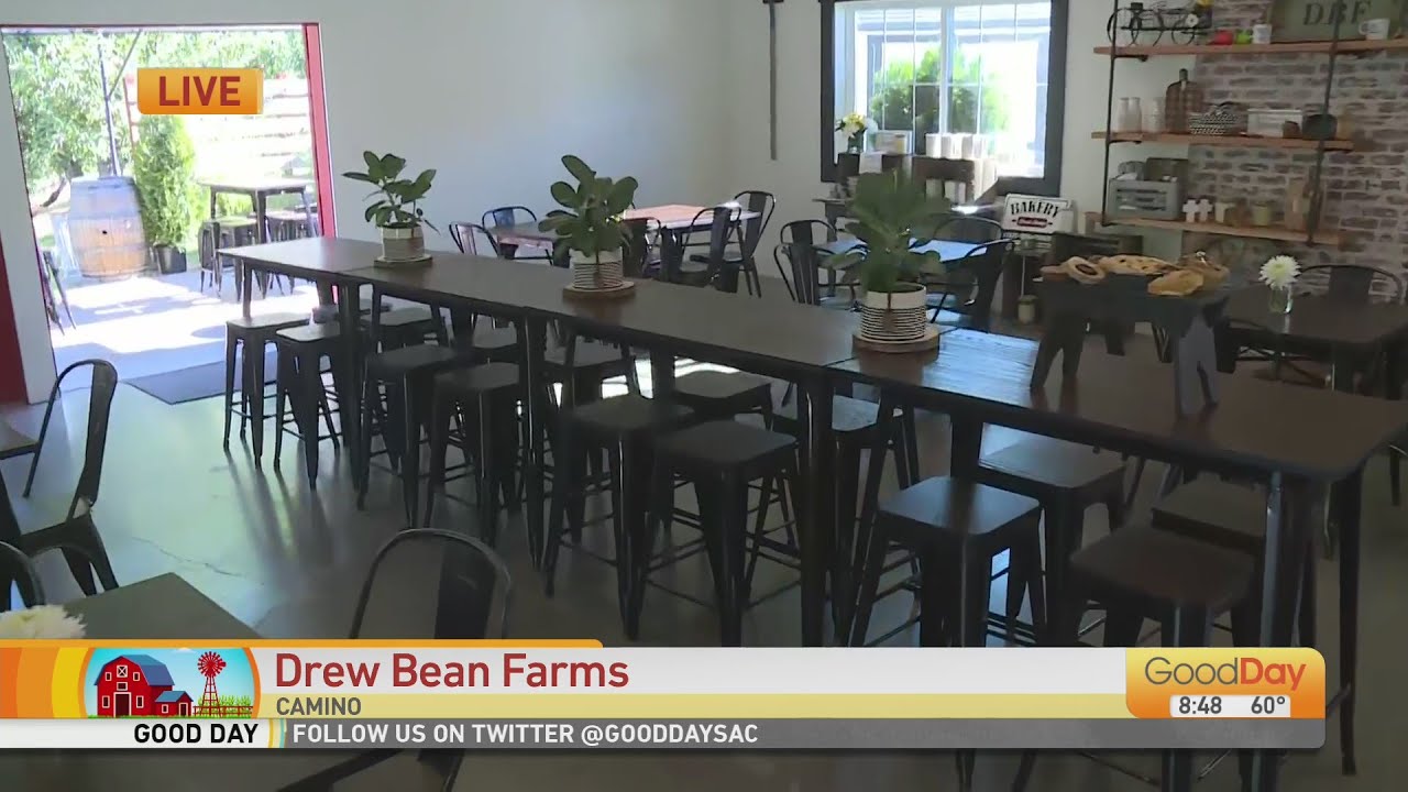 Drew Bean Farms Camino YouTube