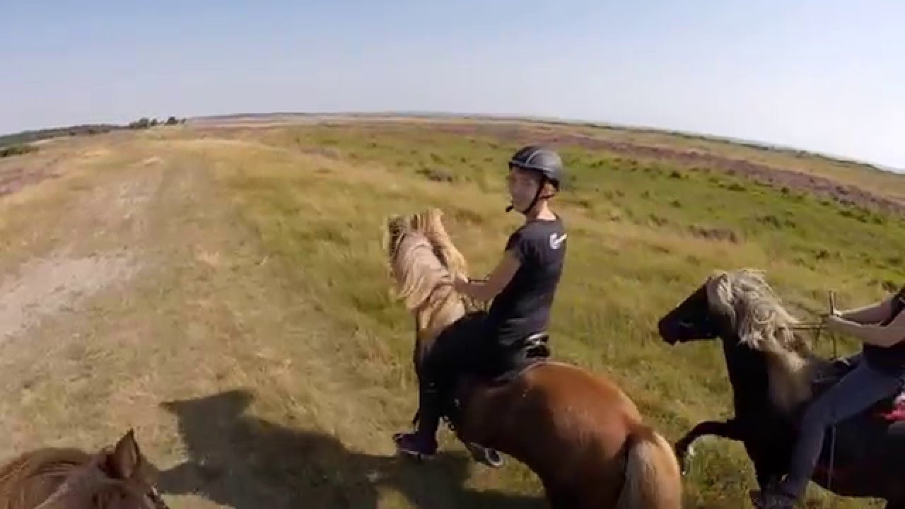 HippoXplore - Tølt på heden