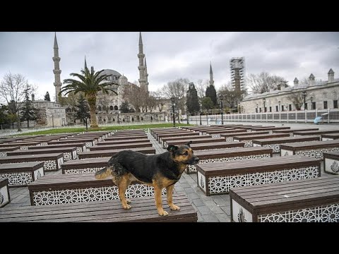 Covid-19 : la Turquie annonce un confinement de 48 heures dans 31 villes