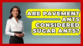 Are Pavement Ants Considered Sugar Ants? - Insects and Invaders