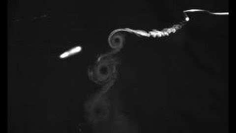 Rotor Blade Tip Vortices