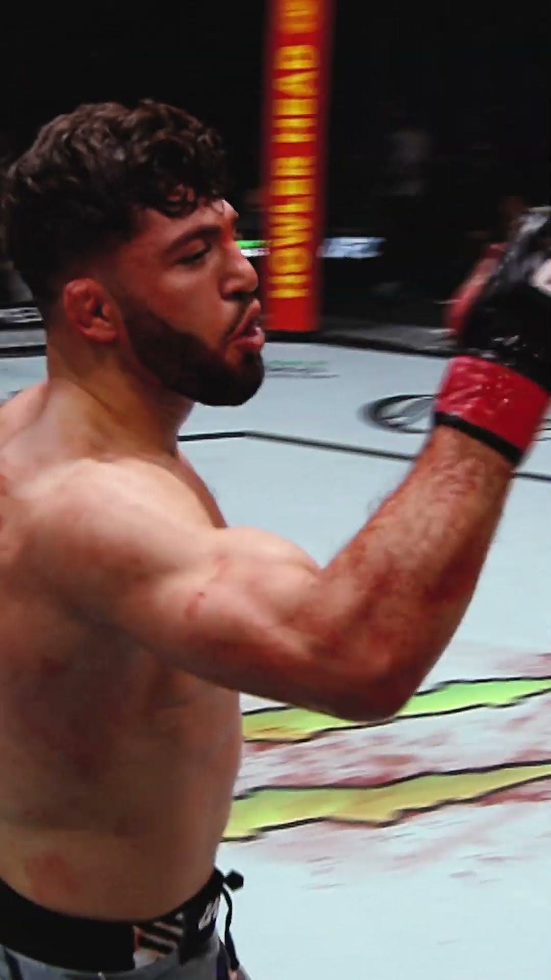 Does Arman get the job done Saturday? ? #ufc311