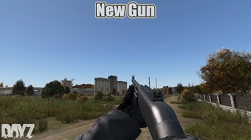 DayZ: New Gun and Animation (Experimental 1.28 Update 2)