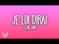 C&eacute;line Dion - Je Lui Dirai