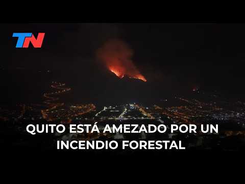 MMD VD 20260920 DIS ECU IncendioMedioambiente C8U79T4 es