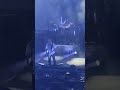 Carcass - No Love Lost Live (Berlin 2026)