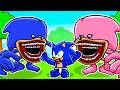 Adopted by a SHIN SONIC Family in Roblox!