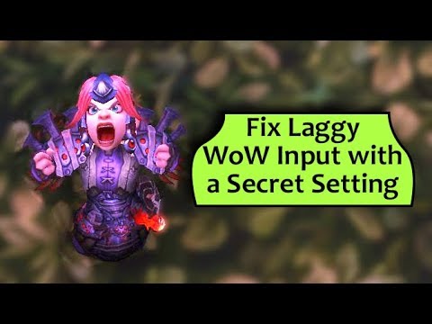 Fix Laggy WoW Input With a Secret Hidden Setting