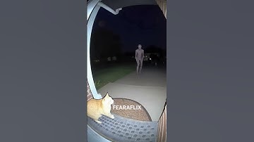 Cat Just Scared Away a SKINWALKER #shorts #skinwalker #scaryvideos