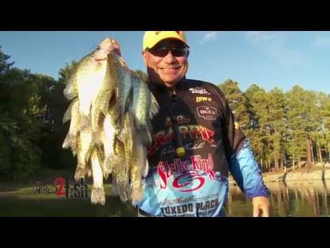 Find and Consistently Catch Crappie in Brush