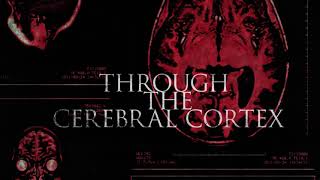 DRAVEN x WE ARE MAGONIA - Through The Cerebral Cortex