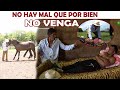 Campesino le compra un caballo a su hijo sin saber todo lo que causaría ese animalito.