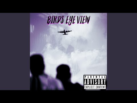 Watch Birds Eye View on YouTube