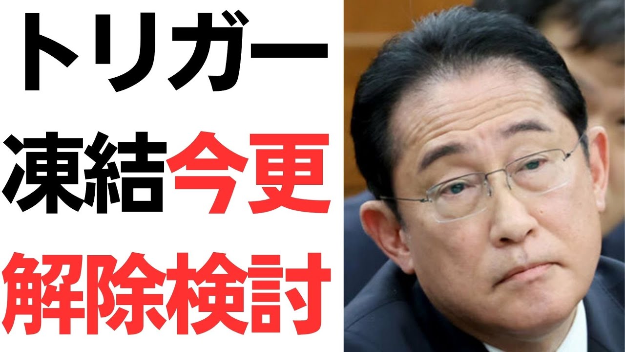 ガソリン価格とトリガー条項凍結解除を扱う動画のサムネイル