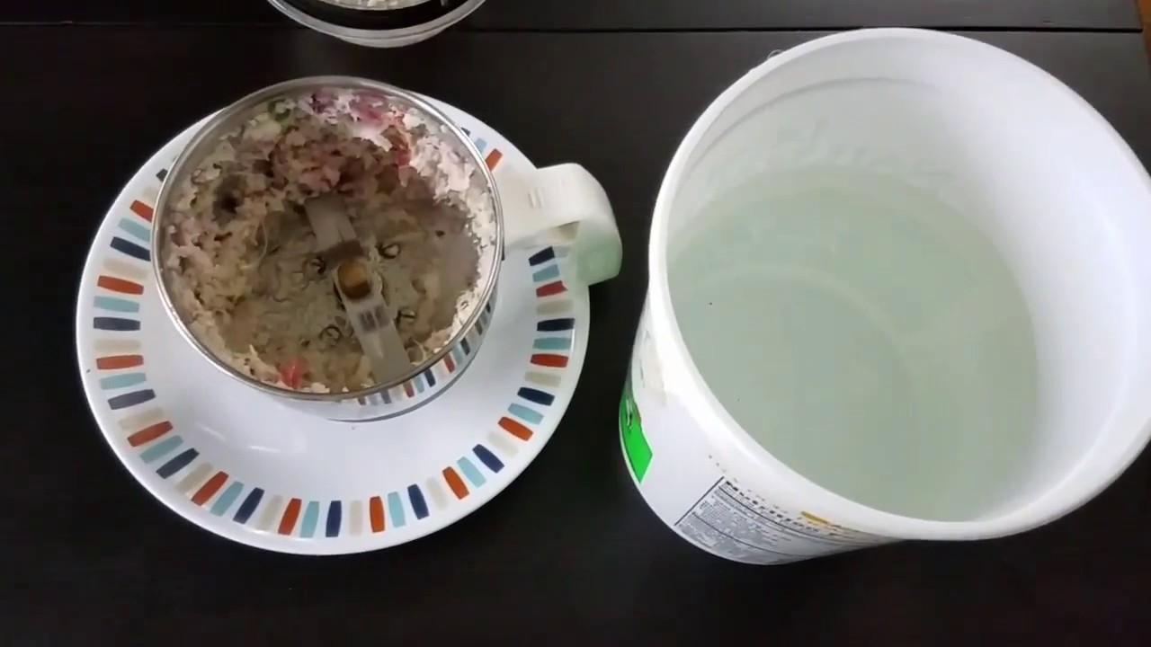 Plant Pesticide preparation using Onions and Garlic Effective Organic